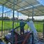 3hp solar water pump supply and installation